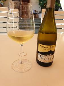IMG-20220621-WA0041