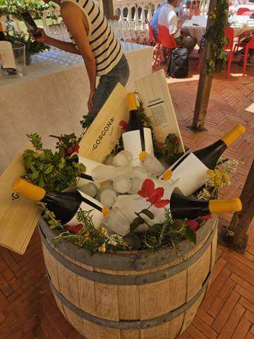 IMG-20230726-WA0077