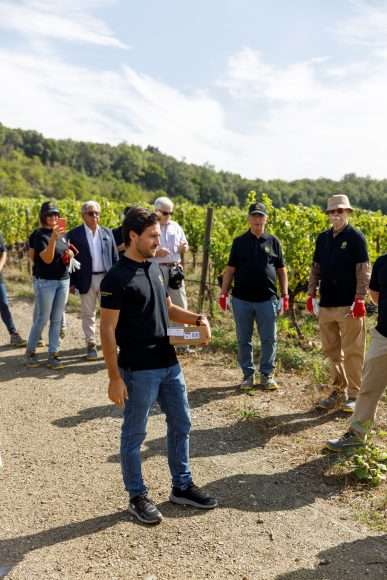 Luce_harvest_experience-025