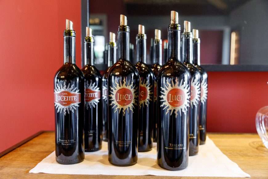 Luce_harvest_experience-296