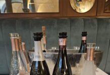 I ROSE’ DI MATTIA VEZZOLA A FIRENZE DA VITO MOLLICA